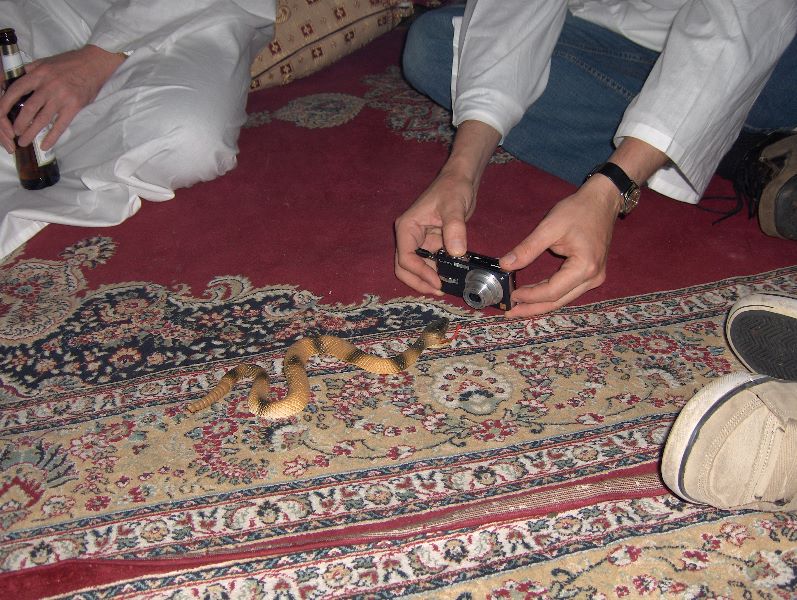 ../Images/HPIM7512.jpg